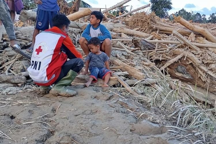 BNPB: Pembersihan Kayu Gelondongan Banjir Aceh Utara Telah Capai 57 Persen